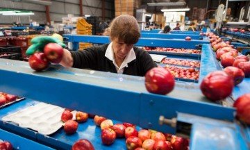 food processing custom